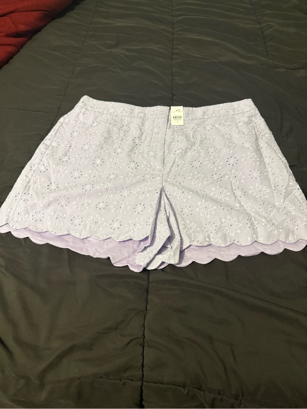 Ann Taylor Lavender Eyelet Scallop Hem High-Waist Shorts